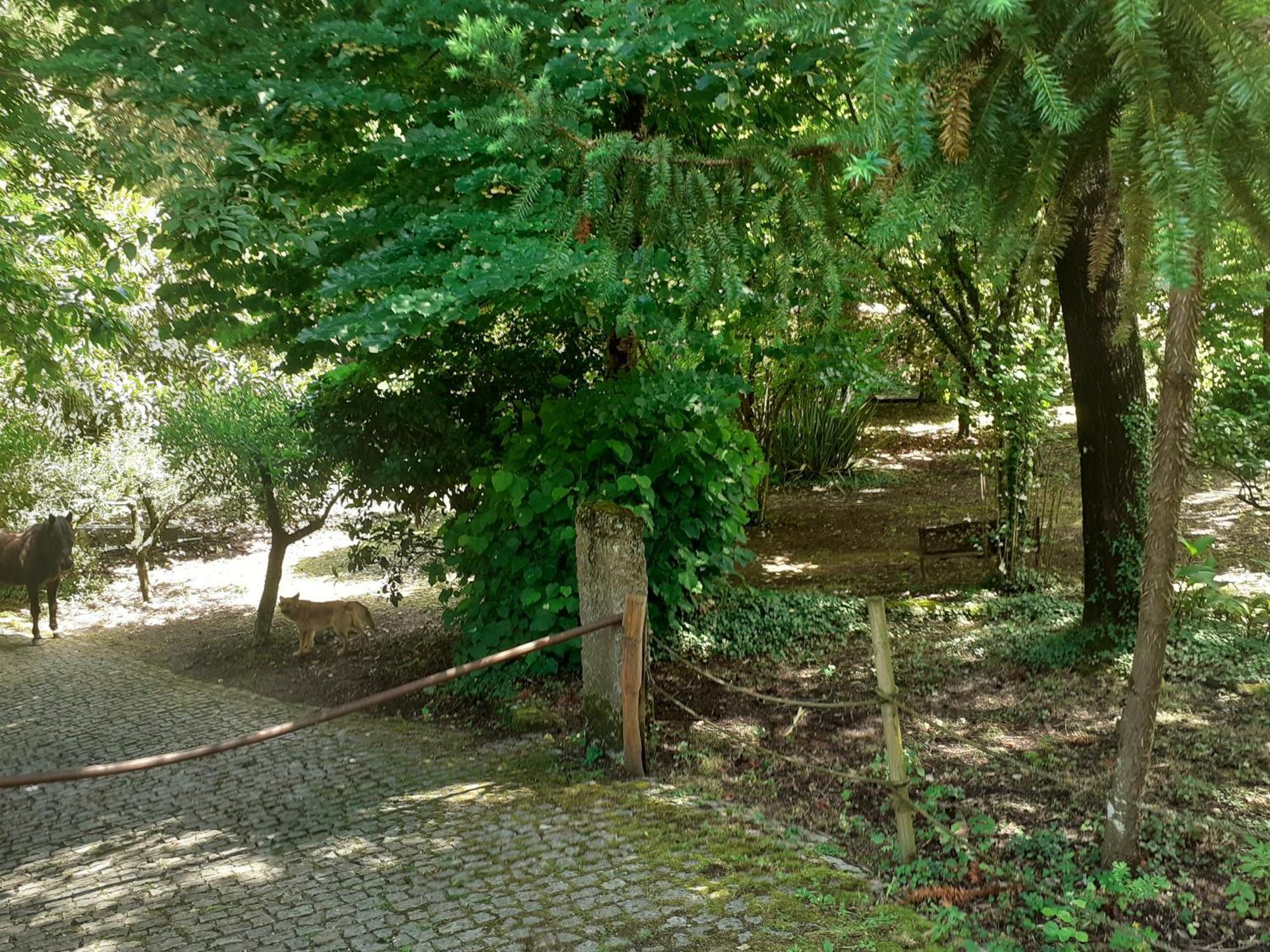 Cabana Da Oliveira Marco de Canaveses Exterior photo